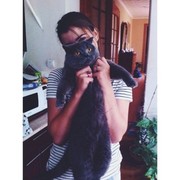 ���������� ������, ���� ������� �������, 29 ���, ������������ ��� ������, ����� � ���������, c�������� ���������