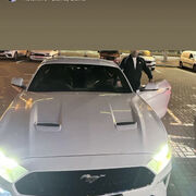 ���������� �����, ���� ������� �����, 34 ����, ������������ ��� ������, ����� � ���������