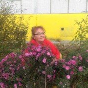 ���������� ������-�������, ���� ������� �������, 70 ���, ������������ ��� c�������� ���������