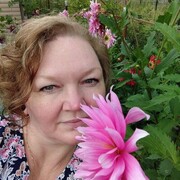  ,   , 54 ,   , 