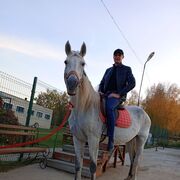 ���������� ���������, ���� ������� �������, 37 ���, ������������ ��� ������, ����� � ���������, c�������� ���������, ���������