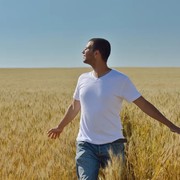 ���������� ���������, ���� ������� ������, 48 ���, ������������ ��� ������, ����� � ���������, c�������� ���������