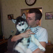 ���������� �������, ���� ������� ������, 38 ���, ������������ ��� ����� � ���������, c�������� ���������