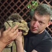  ,   Dima, 39 ,   ,   