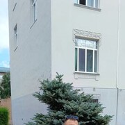 ���������� ����, ���� ������� �������, 36 ���, ������������ ��� ������, ����� � ���������