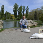  ,   , 59 ,   c 