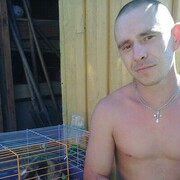 ���������� �������, ���� ������� ��������, 42 ����, ������������ ��� c�������� ���������, ���������