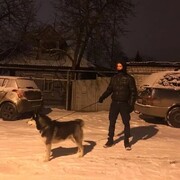 ���������� ������, ���� ������� ������, 29 ���, ������������ ��� ������, ����� � ���������