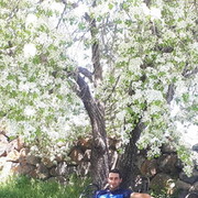  ,   Andranik, 38 ,     , c 