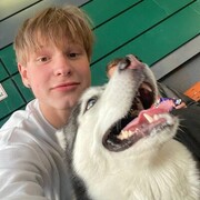  ,   , 20 ,   ,   