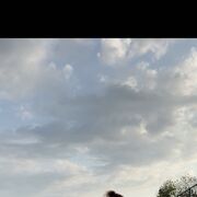  ,   Sofia, 25 ,     , c 