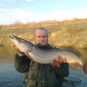 ���������� ������, ���� ������� �������, 52 ����, ������������ ��� ������, ����� � ���������