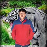  ,   , 41 ,   ,   