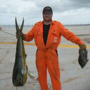 ���������� �������, ���� ������� ���������, 48 ���, ������������ ��� ������, ����� � ���������