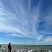 ���������� ����, ���� ����� ��������, 23 ����, ������������ ��� ������, ����� � ���������