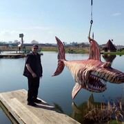 ���������� �����������, ���� ������� ����, 48 ���, ������������ ��� ������, ����� � ���������, c�������� ���������