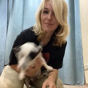 ���������� ������, ���� ������� ����, 44 ����, ������������ ��� ������, ����� � ���������, c�������� ���������