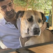  Kavaklidere,   Nuri, 32 ,   ,   