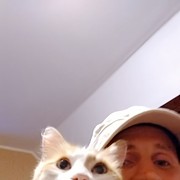  -,   , 50 ,   