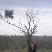  ,   , 32 ,   