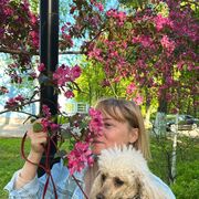 ���������� ������, ���� ������� ��������, 47 ���, ������������ ��� c�������� ���������