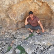  ,   , 37 ,   ,   
