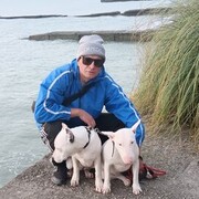 ���������� �����, ���� ������� �������, 38 ���, ������������ ��� c�������� ���������