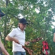  ,  Koka, 43