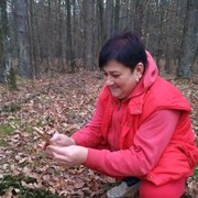  ,   , 54 ,   ,   , c 