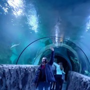 ���������� �������, ���� ������� �������, 39 ���, ������������ ��� ������, ����� � ���������, c�������� ���������