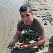 ���������� ���������, ���� ������� ϸ��, 41 ���, ������������ ��� ������, ����� � ���������, c�������� ���������