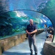  ,   , 48 ,   ,   , c , 