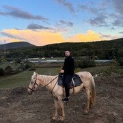 ���������� ���������, ���� ������� David, 27 ���, ������������ ��� ������, ����� � ���������