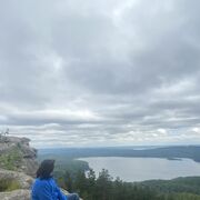 ���������� ������������, ���� ������� Roman, 45 ���, ������������ ��� ������, ����� � ���������