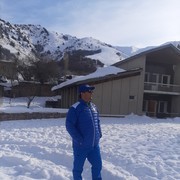  ,   Xurshid, 41 ,   ,   , c 