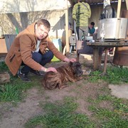 ���������� ������, ������� �����, 28