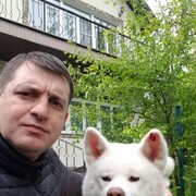 ���������� ������, ���� ������� ��������, 50 ���, ������������ ��� ������, ����� � ���������, ���������