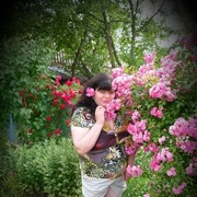  ,   , 43 ,  