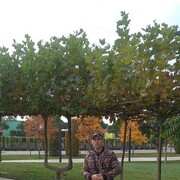 ���������� �����, ���� ������� ����������, 39 ���, ������������ ��� ������, ����� � ���������, c�������� ���������