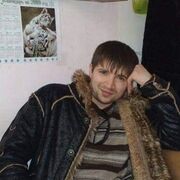 ���������� ������-��-����, ���� ������� DAVA, 43 ����, ������������ ��� ������, ����� � ���������, c�������� ���������, ���������