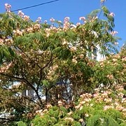 -,   , 47 ,     , c 