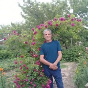  ,   , 60 ,   