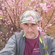  ,   , 54 ,   c 