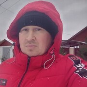  ,   , 41 ,   ,   