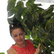  ,   , 54 ,     , c 