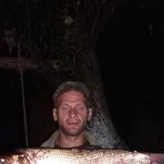  ,   , 34 ,  