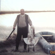  ,   Zaur, 66 ,   ,   , c 
