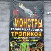  ,   DiMa, 42 ,   ,   , c 