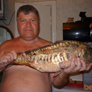   ,   , 64 ,  