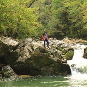 ���������� ���������, ���� ������� �������, 40 ���, ������������ ��� ������, ����� � ���������, c�������� ���������